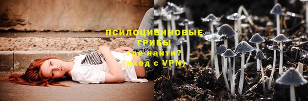 ПСИЛОЦИБИНОВЫЕ ГРИБЫ Новодвинск