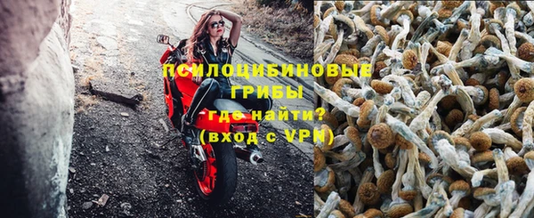 ПСИЛОЦИБИНОВЫЕ ГРИБЫ Новодвинск