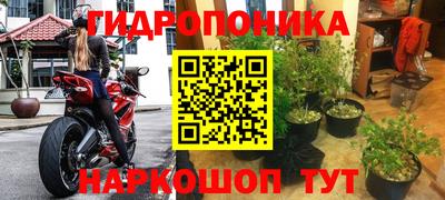 прущие грибы Гусь-Хрустальный