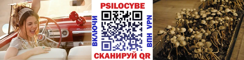 наркота  Сафоново  Галлюциногенные грибы Cubensis 
